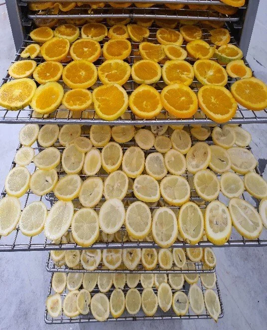 Dried slices being loaded into the Rexmoi by DryNZ Dried citrus slices being loaded into the Rexmoi by DryNZ
