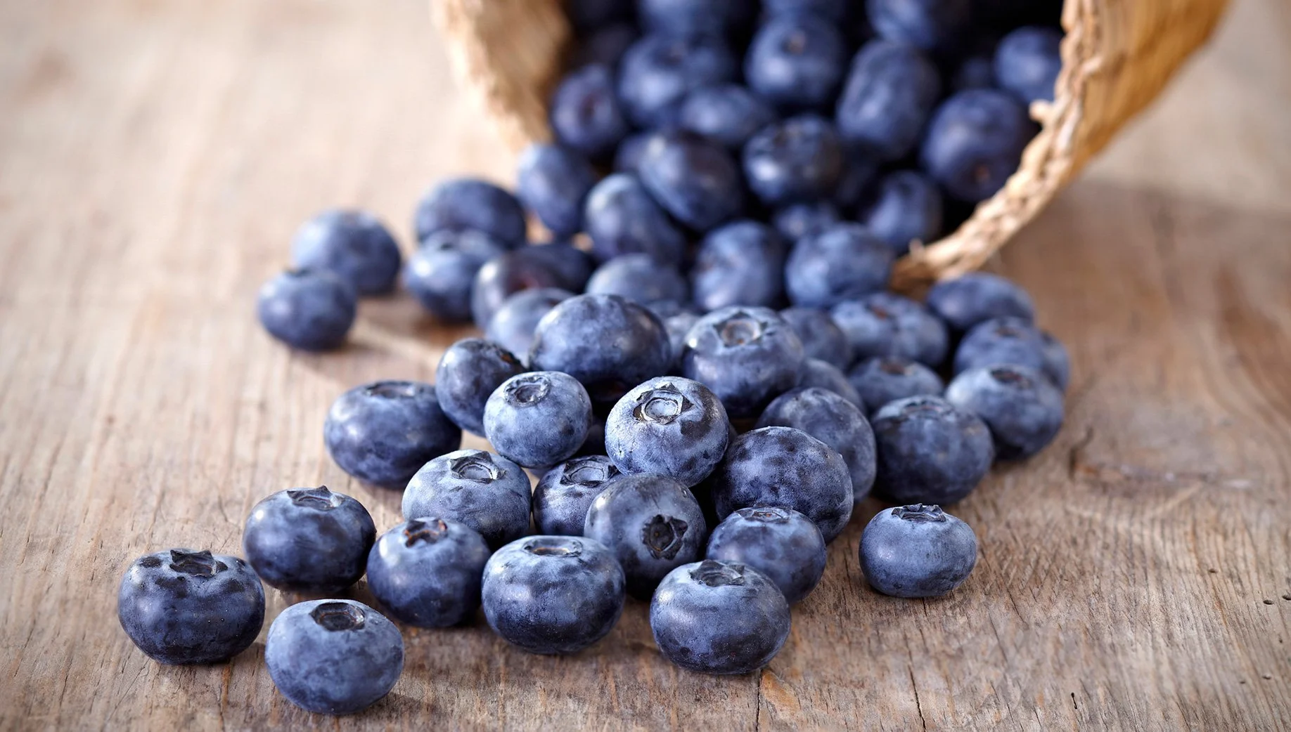 Dried Blueberries Dried Blueberries